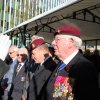 2014-11-11 : Wapenstilstand